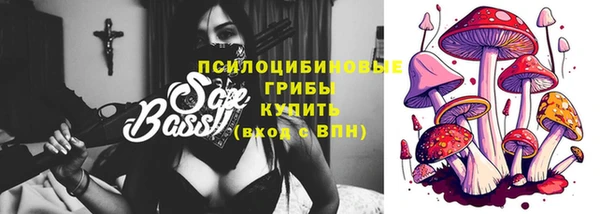 дмт Медвежьегорск