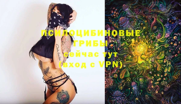 марки lsd Мегион